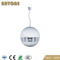 Pendant Speaker HS-820