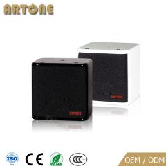 Professional Speaker CO-501