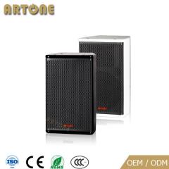 Professional Speaker CO-601