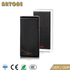 Professional Speaker CO-602