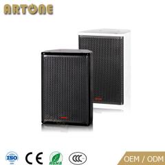 Professional Speaker CO-801