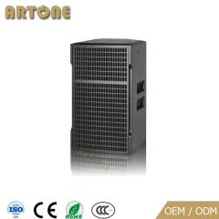 Professional Speaker CT-8