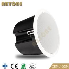 Subwoofer Ceiling Speaker CS-918