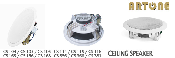 How Ceiling Subwoofer Elevate Sound Performance With Budget